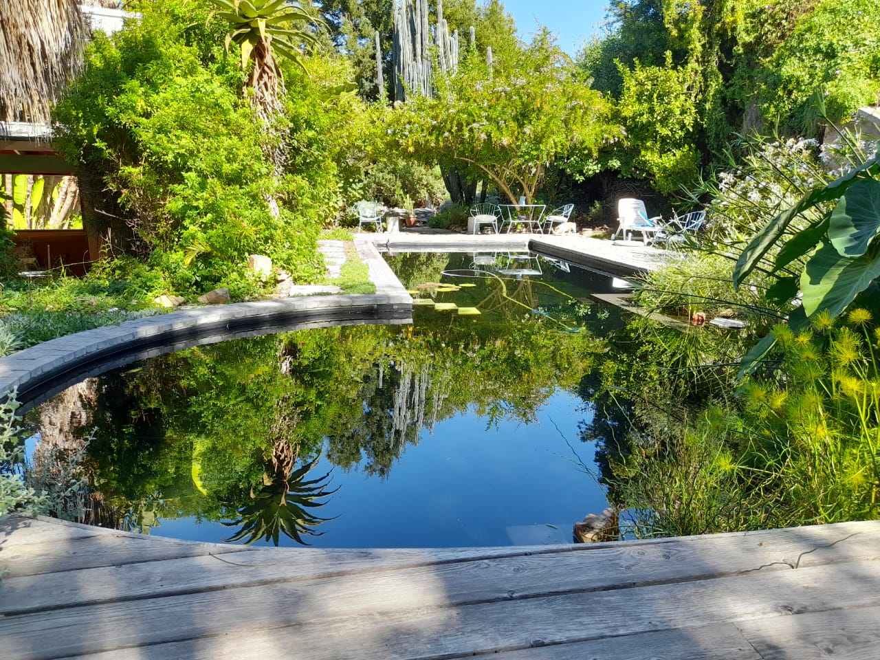 Tokai, Western Cape