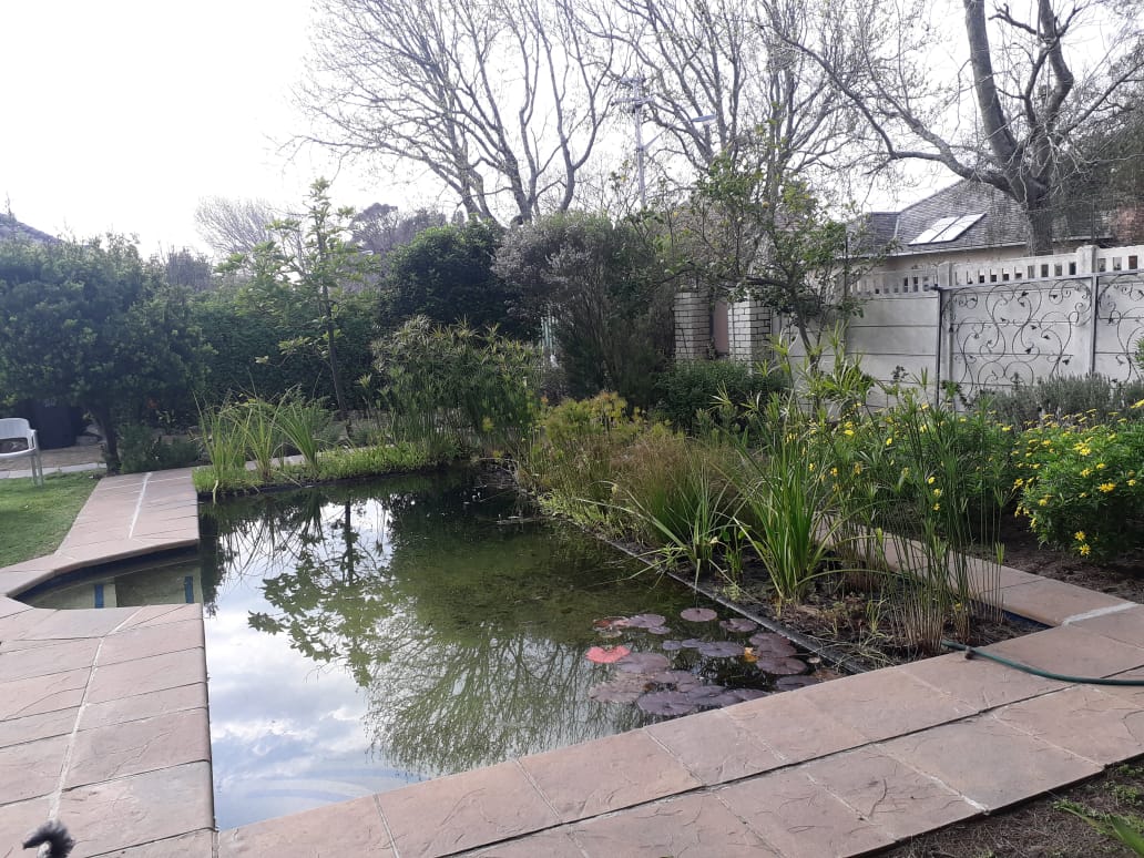 Kenilworth, Western cape