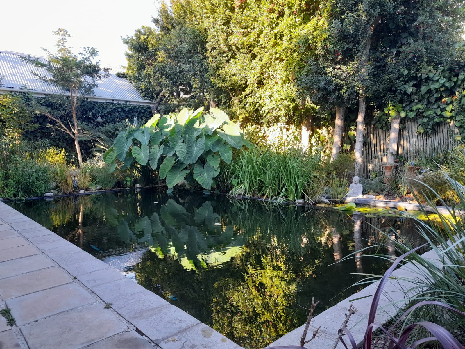 Rosebank, Western Cape