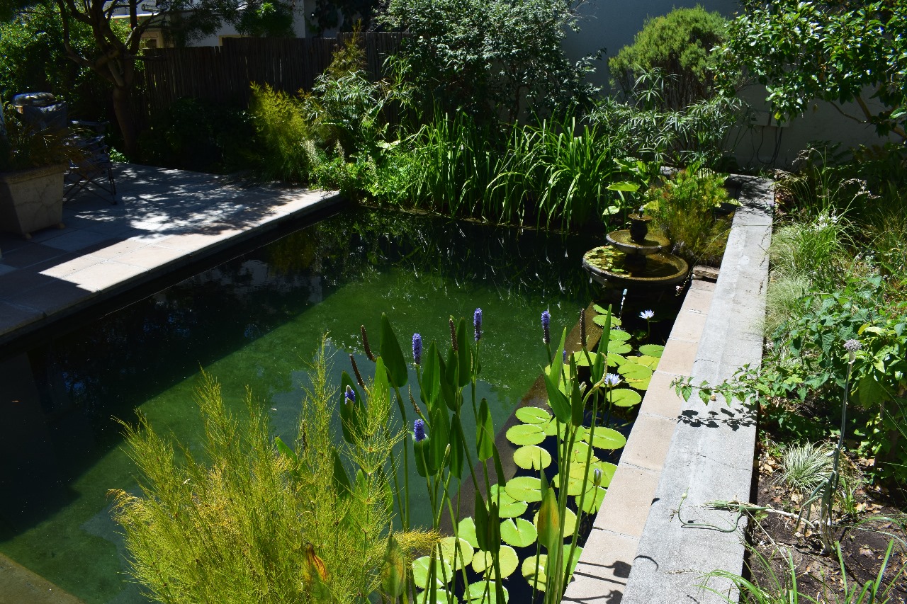 Rosebank, Western Cape